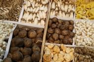 Fruit Logistica Agricultural Trade Fair